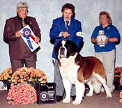 Best in Show - Holland, Michigan