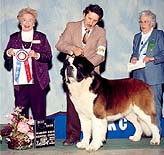 Best in Show - Marion, Ohio