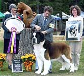 Saint Bernard Club of the Pacific Coast Best in Show